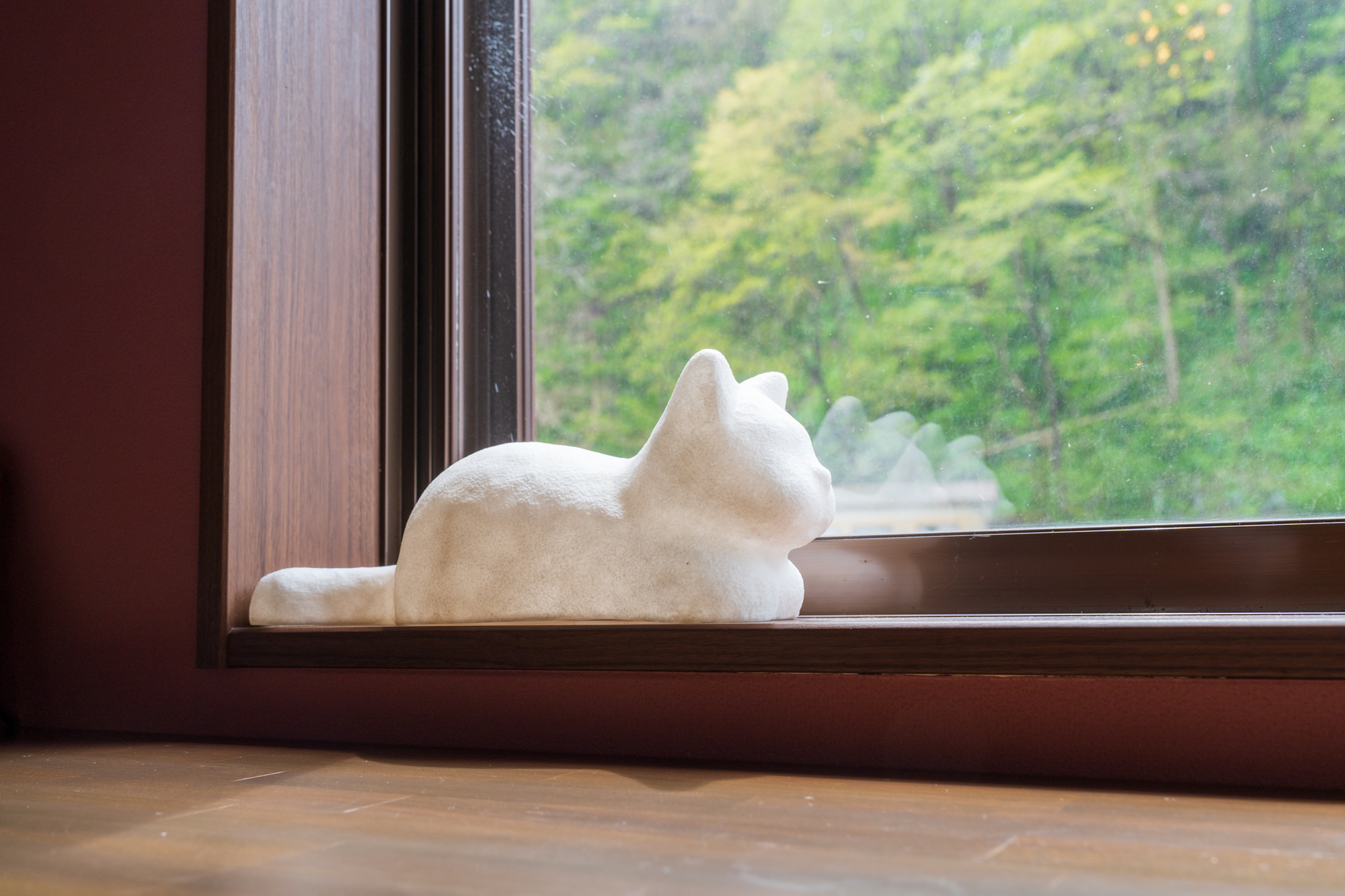 窓辺の白猫